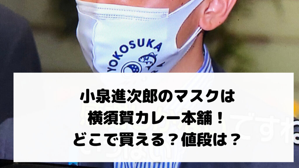 小泉進次郎のマスクは横須賀カレー本舗！どこで買える？値段は？